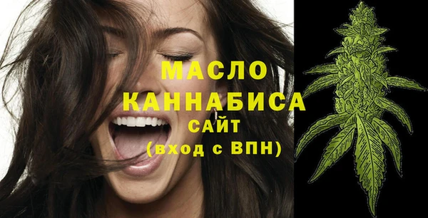 дмт Богородицк